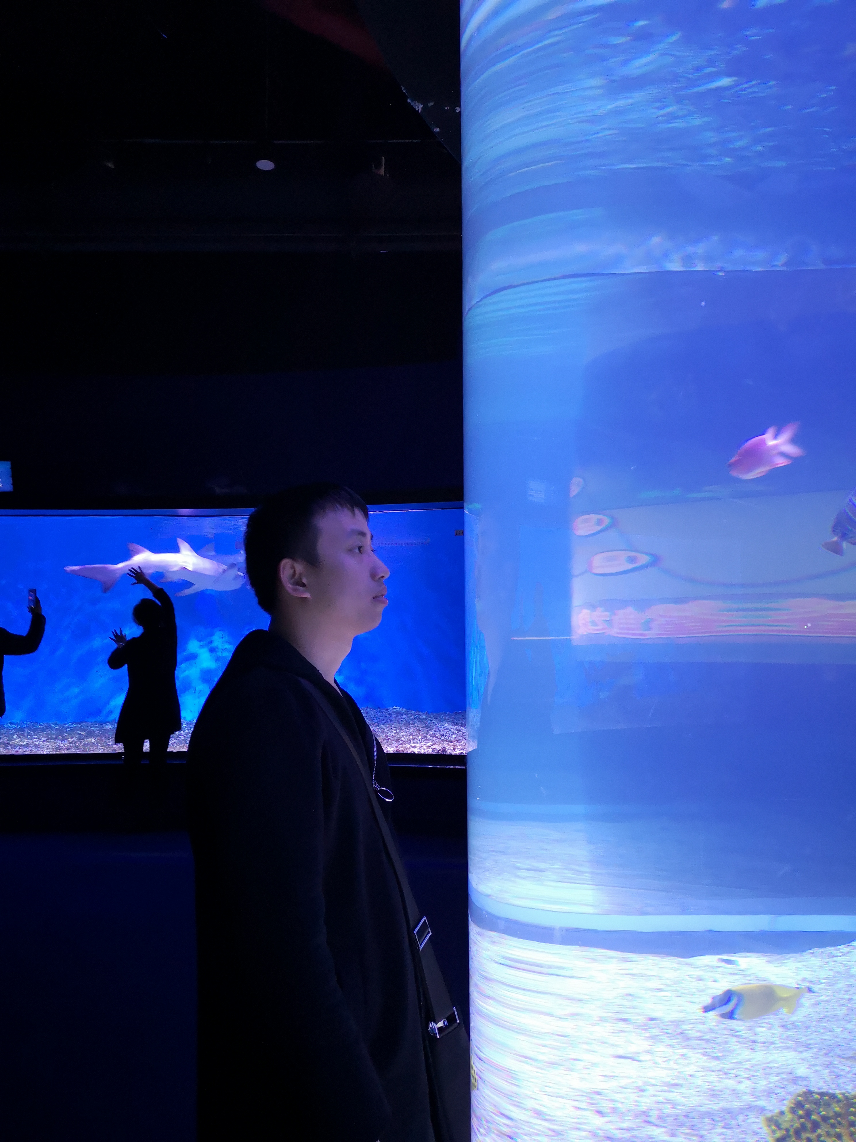 Mmexport1545217659265