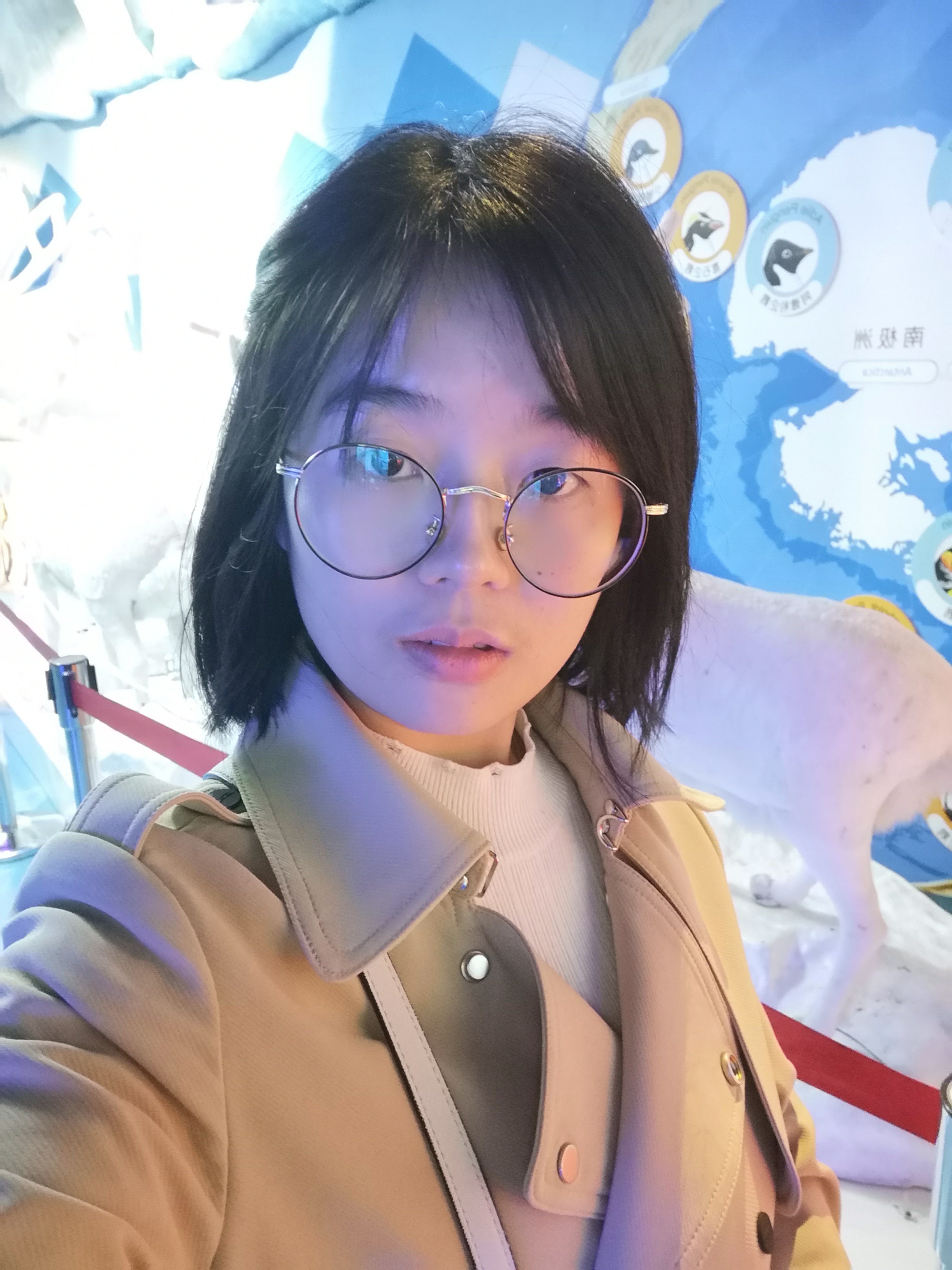 Mmexport1545217675555