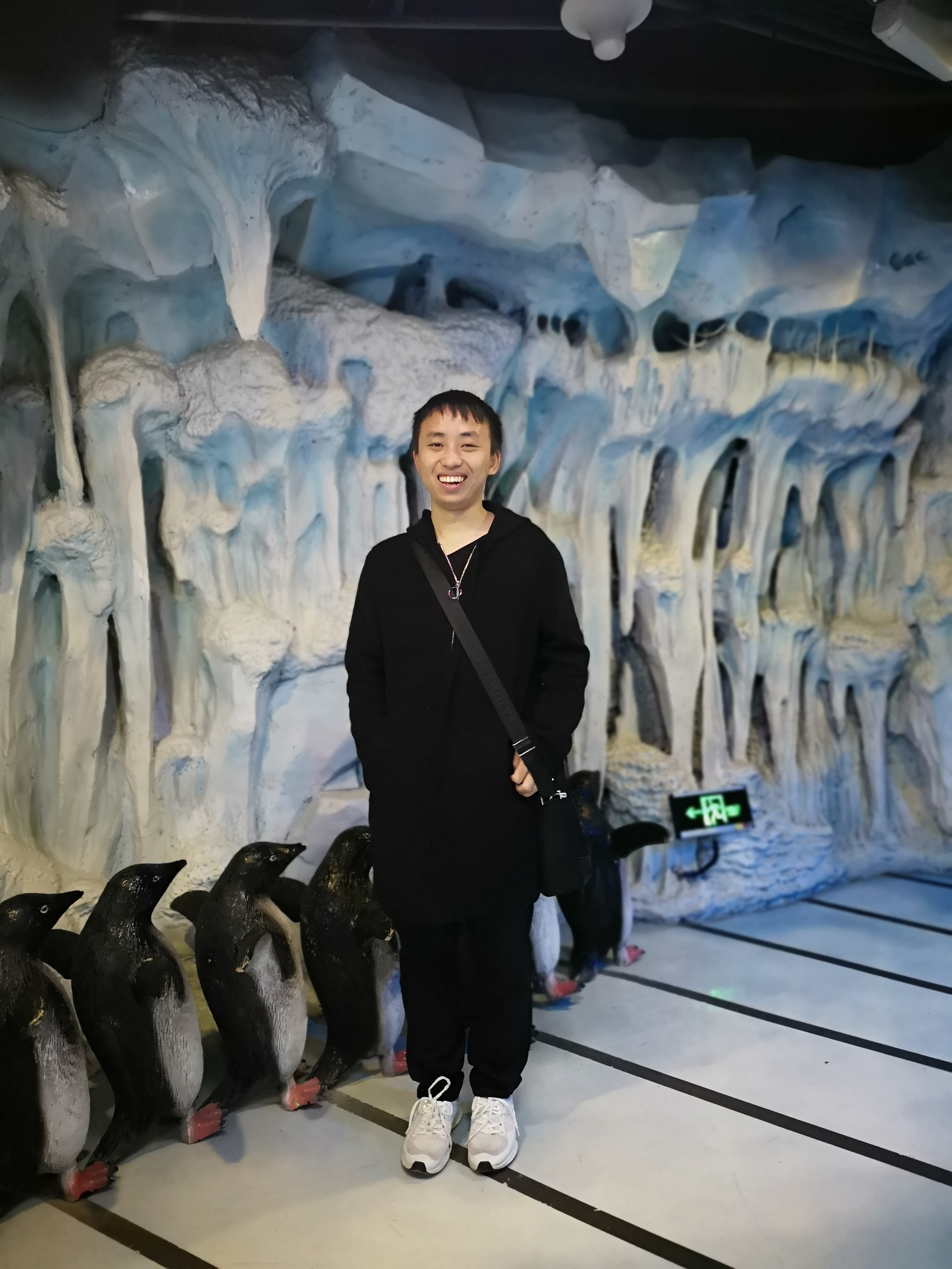 Mmexport1545217678980